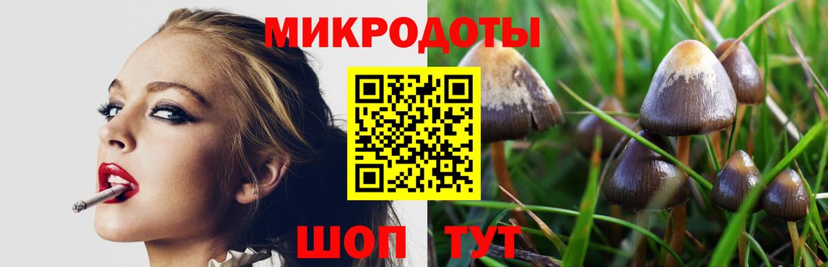 Калининград  Галлюциногенные грибы ЛСД  где найти наркотики  Вход с VPN 